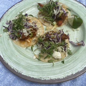 Spa Avania - Shrimp tacos - Day Spas Near Me - Scottsdale, Arizona Spa Avania - Shrimp tacos - Day Spas Near Me - Scottsdale, Arizona