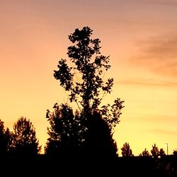 Tanner Creek Park