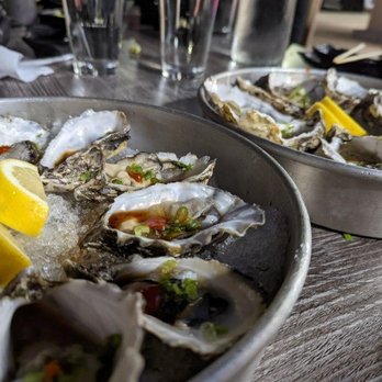 ENSUI SUSHI - Large Oysters! Yum! - Sushi Bars Near Me - Del Mar, California ENSUI SUSHI - Large Oysters! Yum! - Sushi Bars Near Me - Del Mar, California