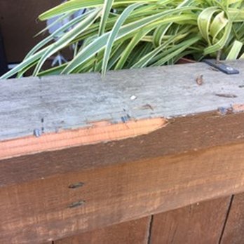 Paintrite Pros - Damaged fence - Painters Near Me - Elk Grove, California Paintrite Pros - Damaged fence - Painters Near Me - Elk Grove, California