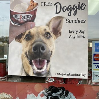 Bruster's Real Ice Cream - Free Doggie Sundaes - Ice Cream & Frozen Yogurt Near Me - Knoxville, Tennessee