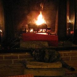 Westport Animal Hospital - It's awfully dark but our kitty is atop the wood in front of the fireplace.