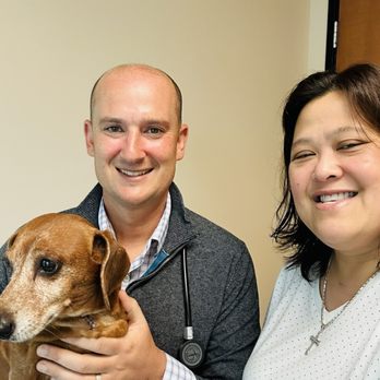 Veterinary Neurology Center - Thank you - Veterinarians Near Me - Tustin, California Veterinary Neurology Center - Thank you - Veterinarians Near Me - Tustin, California