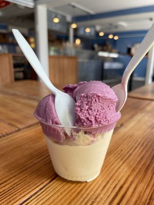 Mount Desert Island Ice Cream by null