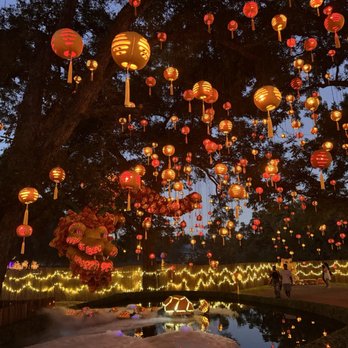 Pumpkin Nights - Festivals Near Me - Arlington, Texas Pumpkin Nights - Festivals Near Me - Arlington, Texas