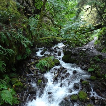 Wahkeena Falls Loop Trail - Hiking Near Me - Troutdale, Oregon Wahkeena Falls Loop Trail - Hiking Near Me - Troutdale, Oregon