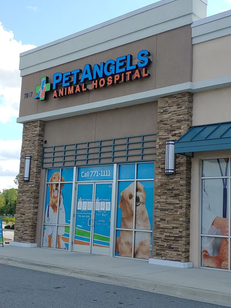 PET ANGELS ANIMAL HOSPITAL 12 Photos & 17 Reviews 7067 Collins Rd, Jacksonville, FL Yelp