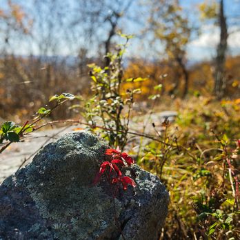 High Point State Park - https://youtu.be/_MS-QYCuR7s - Parks Near Me - Sussex, New Jersey High Point State Park - https://youtu.be/_MS-QYCuR7s - Parks Near Me - Sussex, New Jersey