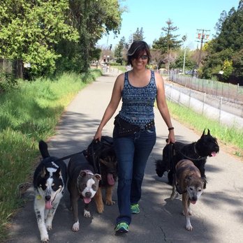 Translating Dog - Pet Training Near Me Translating Dog - Pet Training Near Me