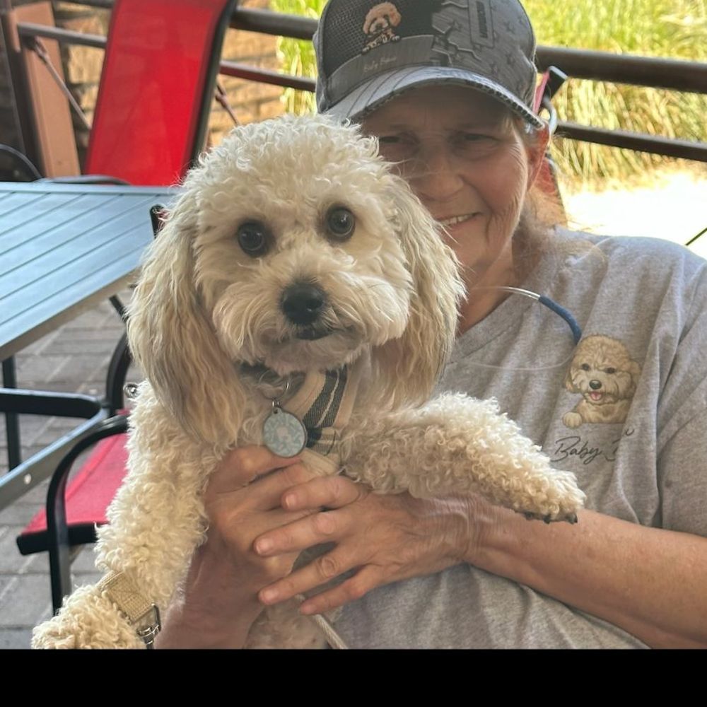 Docjodie - The BEST puppy celebrating his FIRST trip around the sun! - Holistic Animal Care Near Me Docjodie - The BEST puppy celebrating his FIRST trip around the sun! - Holistic Animal Care Near Me