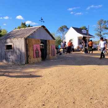 Hall's Pumpkin Farm - Pumpkin Patches Near Me - Grapevine, Texas Hall's Pumpkin Farm - Pumpkin Patches Near Me - Grapevine, Texas