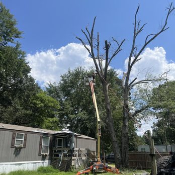 The Firewood Gals - Firewood Near Me - Longview, Texas The Firewood Gals - Firewood Near Me - Longview, Texas