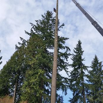A-1 Tree Service Conservation - Tree Services Near Me - Monroe, Washington