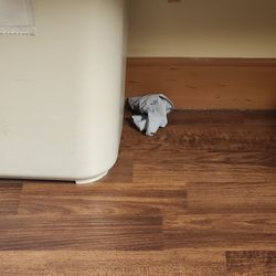NEA Baptist Memorial Hospital - Dirty gloves in the floor