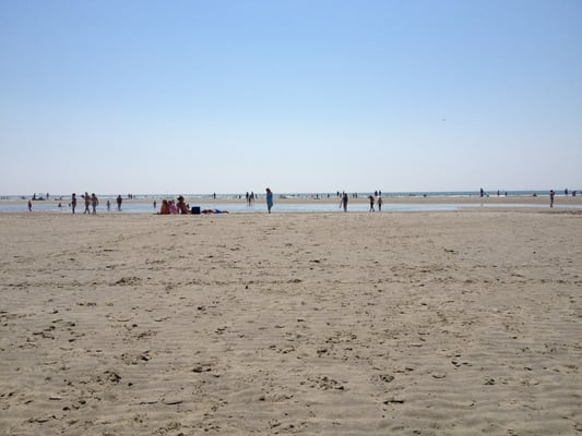 West Wittering Beach by null