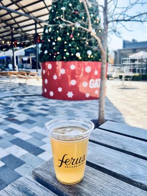 Ferus Artisan Ales by null