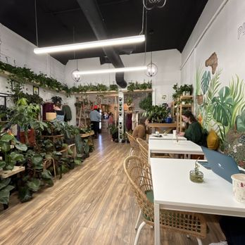 Habitat Plants + Coffee - Interior - Coffee & Tea Near Me - McKinney, Texas