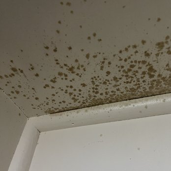 Loma Palisades - Ceiling in the closet - Apartments Near Me - San Diego, California Loma Palisades - Ceiling in the closet - Apartments Near Me - San Diego, California