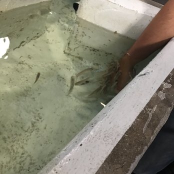 SeaQuest - Utah - Unofficial "fish spa" area was especially awesome! - Aquariums Near Me - Layton, Utah SeaQuest - Utah - Unofficial "fish spa" area was especially awesome! - Aquariums Near Me - Layton, Utah