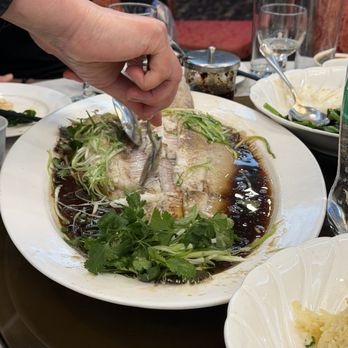 Fung's Kitchen - Dim Sum Near Me - Houston, Texas Fung's Kitchen - Dim Sum Near Me - Houston, Texas