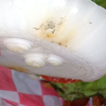 Margarita Grill - Moldy huge onion - Mexican Near Me - Virginia Beach, Virginia
