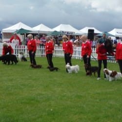 Paws in the Park - Performances at Paws in the Park included a doggie drill team group