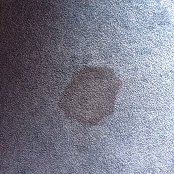 Quality Inn Eureka - Redwoods Area - Turd Stain - Hotels Near Me - Eureka, California Quality Inn Eureka - Redwoods Area - Turd Stain - Hotels Near Me - Eureka, California