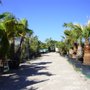 Photo of Naturapalm