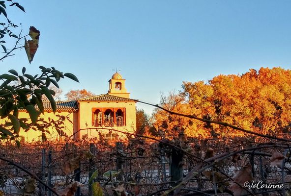 Casa Rondeña Winery by null