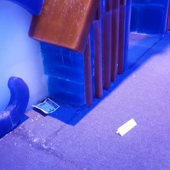 ICE! - Trash everywhere in lines and inside exhibit - Amusement Parks Near Me - Grapevine, Texas ICE! - Trash everywhere in lines and inside exhibit - Amusement Parks Near Me - Grapevine, Texas