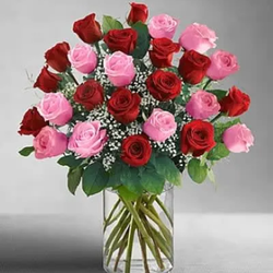 DMV Florist