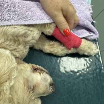 Harmony Animal Clinic - Peebles - Veterinarians Near Me Harmony Animal Clinic - Peebles - Veterinarians Near Me