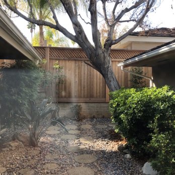 Sky's The Limit Tree Care - Before - Tree Services Near Me - San Marino, California Sky's The Limit Tree Care - Before - Tree Services Near Me - San Marino, California