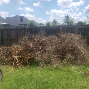 I'll Haul It Off or On - Dead tree and brush from winter freeze. - Junk Removal & Hauling Near Me - Tyler, Texas I'll Haul It Off or On - Dead tree and brush from winter freeze. - Junk Removal & Hauling Near Me - Tyler, Texas