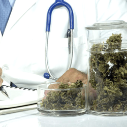 Compassionate Alternative Care - Medical Marijuana Doctor in Jacksonville, Florida