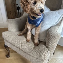 Paws Care Vet Clinic