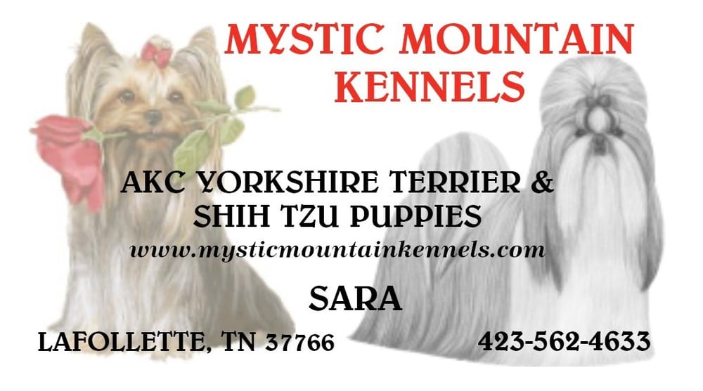 MYSTIC MOUNTAIN KENNELS Updated June 2024 La Follette, Tennessee