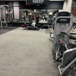 Big House Gym & Nutrition - Pit Shark