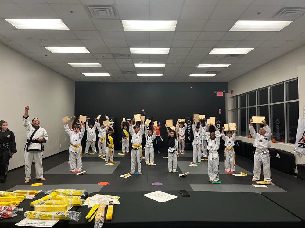 ZENTAI MARTIAL ARTS Updated September 2024 11 Photos 281 Main St