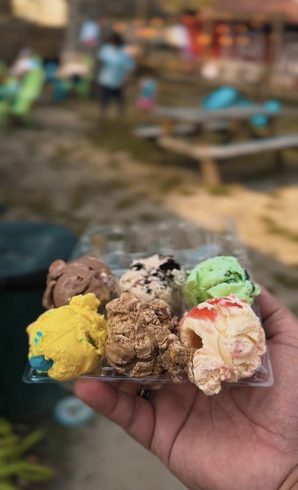The Barn Ice Cream Logo