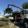 Photo of Elion Tree Service