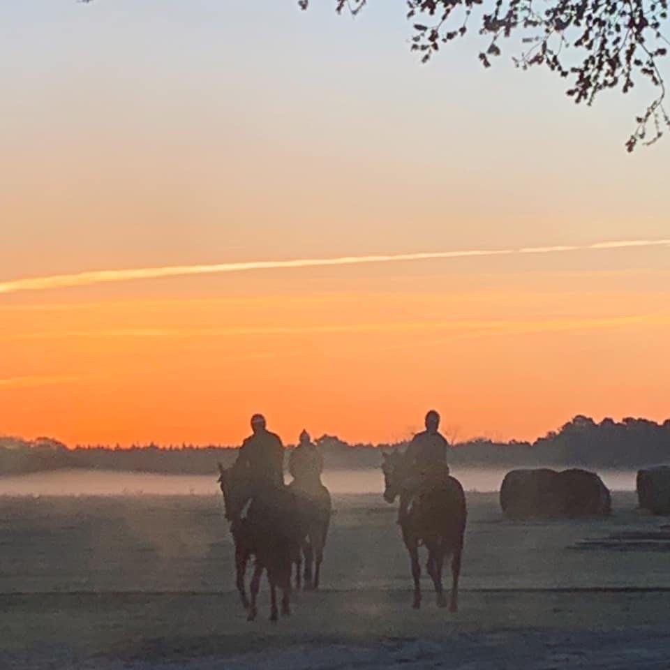 ELLOREE TRAINING CENTER Updated August 2024 170 Wishbone Cir, Elloree, South Carolina Race