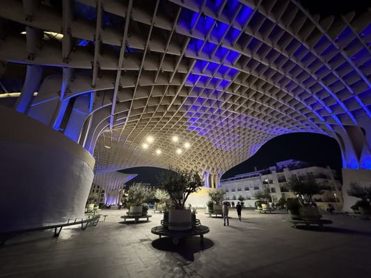 Setas de Sevilla by null