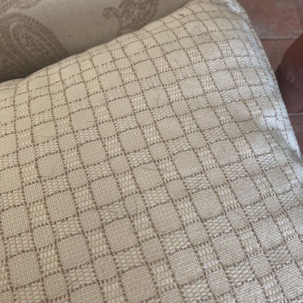 Coconut Cleaning - Carpet Cleaning Near Me - Chandler, Arizona Coconut Cleaning - Carpet Cleaning Near Me - Chandler, Arizona