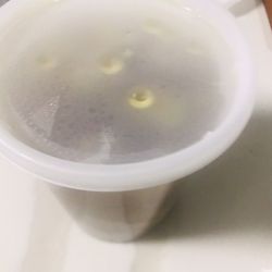 Pho Bowl - New Port Richey - Takeout pho broth