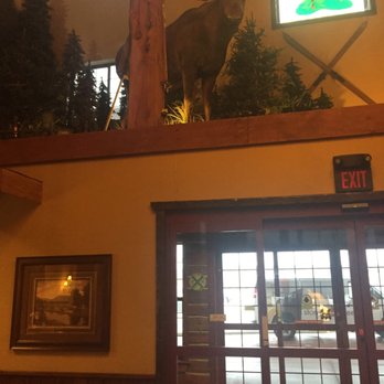 Stoney Creek Hotel Quad Cities - Moline - Yes, that's a full size moose. - Hotels Near Me - Moline, Illinois Stoney Creek Hotel Quad Cities - Moline - Yes, that's a full size moose. - Hotels Near Me - Moline, Illinois