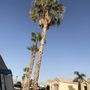 Photo of A Ramirez Gardening and Landscaping