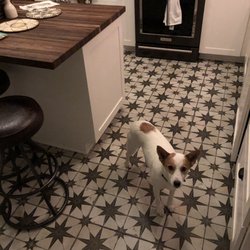 Abraham Tile