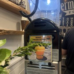kombucha slushie