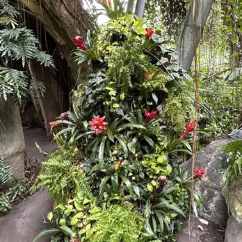 Cleveland Botanical Garden - Costa Rica - Botanical Gardens Near Me - Cleveland, Ohio
